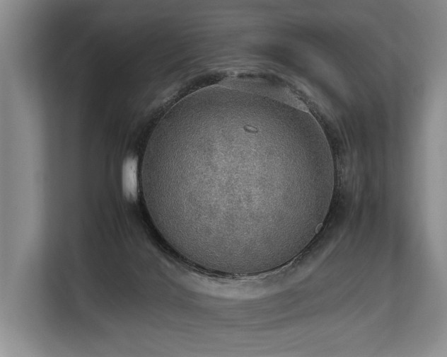 X0000113780028200909231324