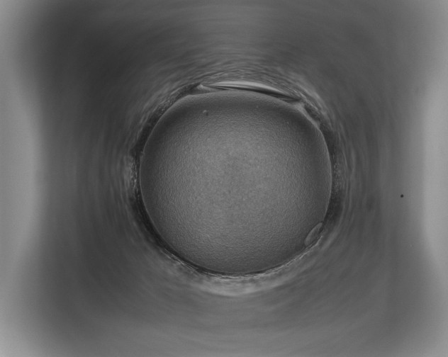 X0000113780029200909231324