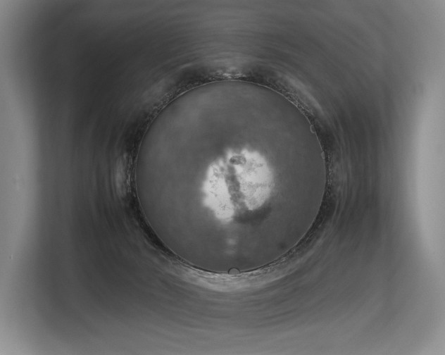 X0000113780030200909231324