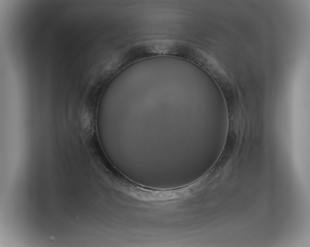 X0000113780031200909231324