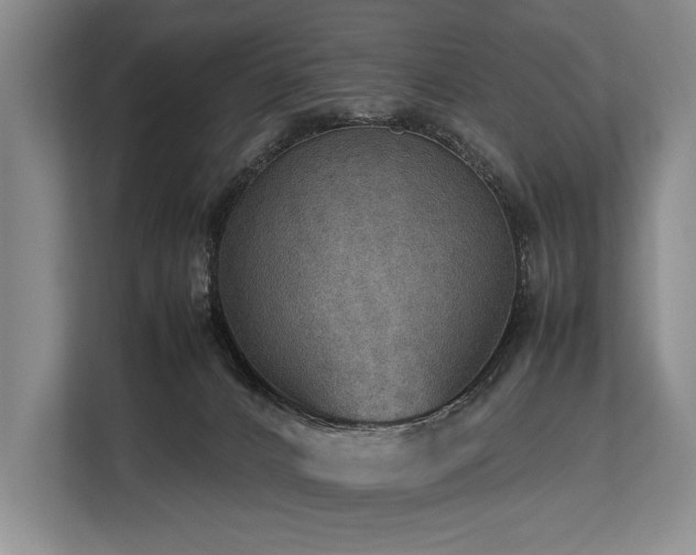 X0000113780032200909231324