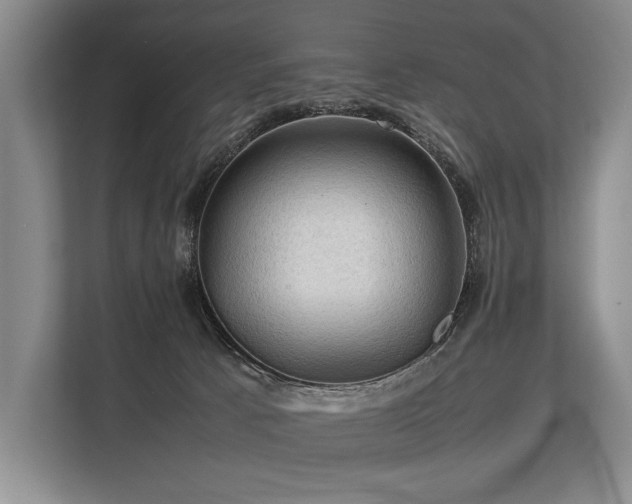 X0000113780033200909231324