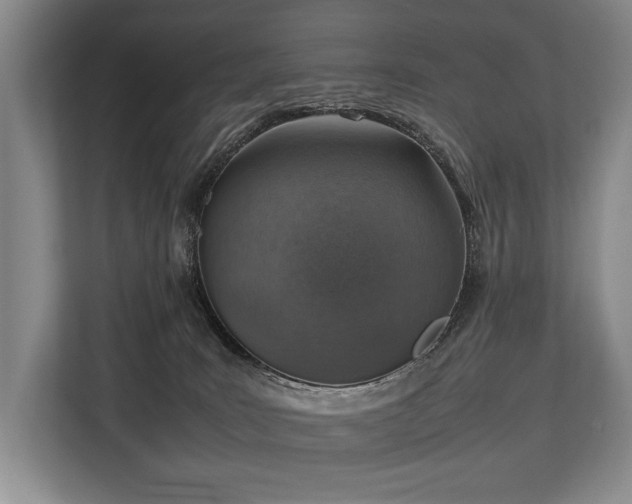 X0000113780035200909231324