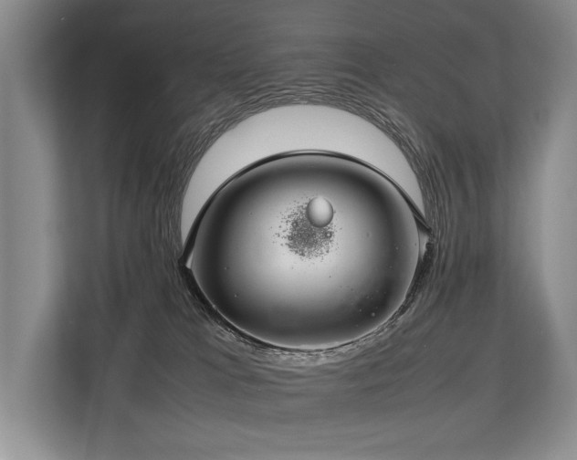 X0000113780037200909231324