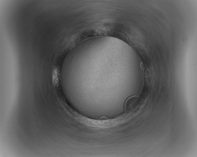 X0000113780038200909231324