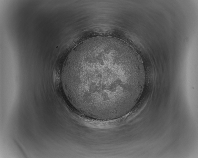 X0000113780040200909231324