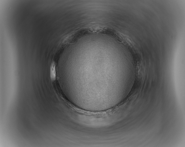 X0000113780042200909231324