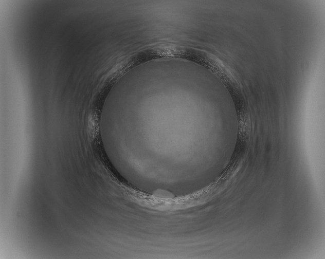 X0000113780043200909231324