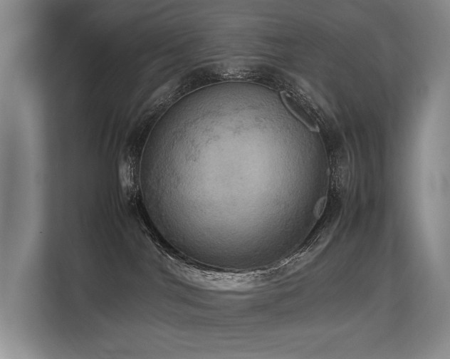 X0000113780044200909231324