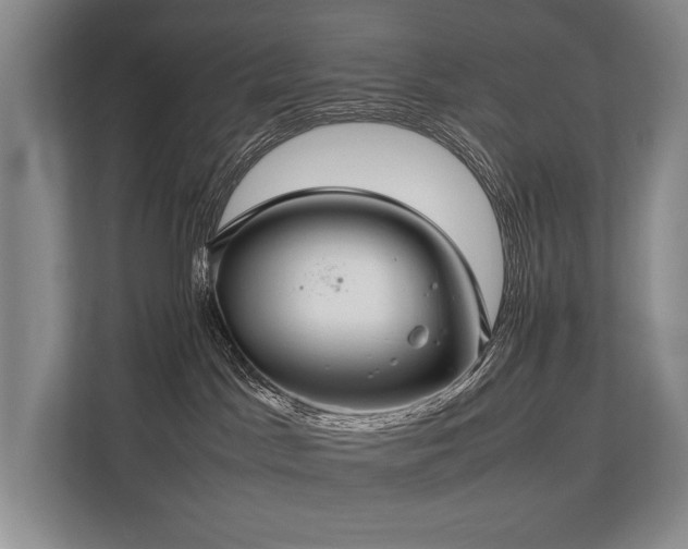 X0000113780045200909231324