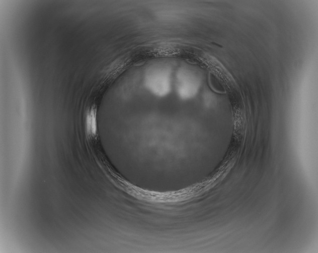 X0000113780046200909231324
