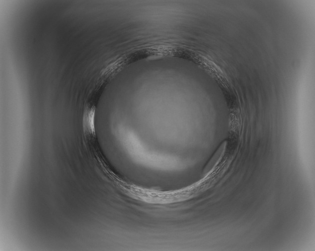 X0000113780047200909231324