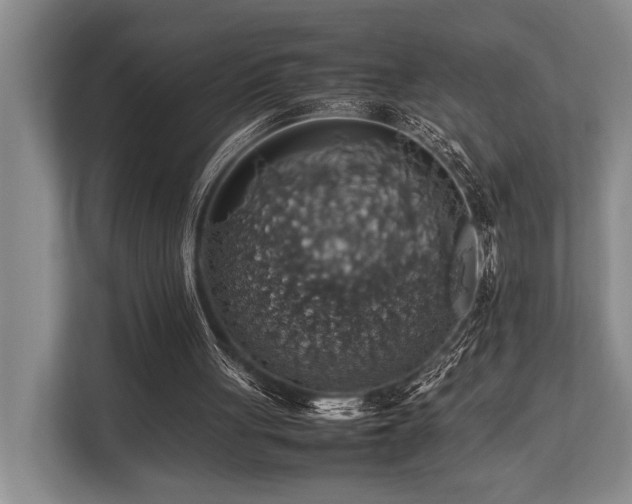 X0000113780051200909231324