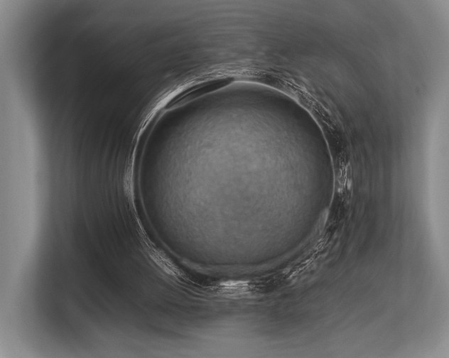 X0000113780052200909231324
