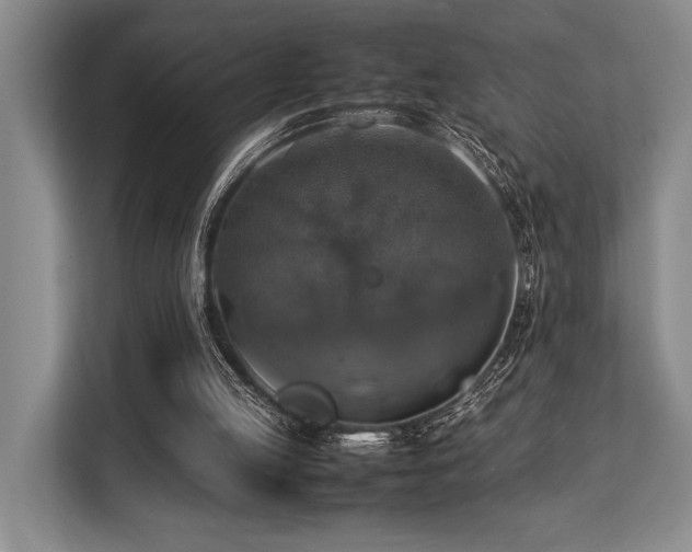 X0000113780053200909231324