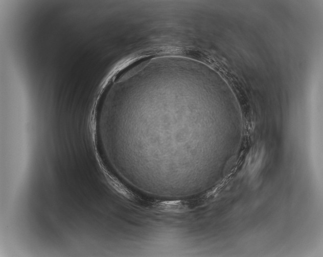 X0000113780054200909231324