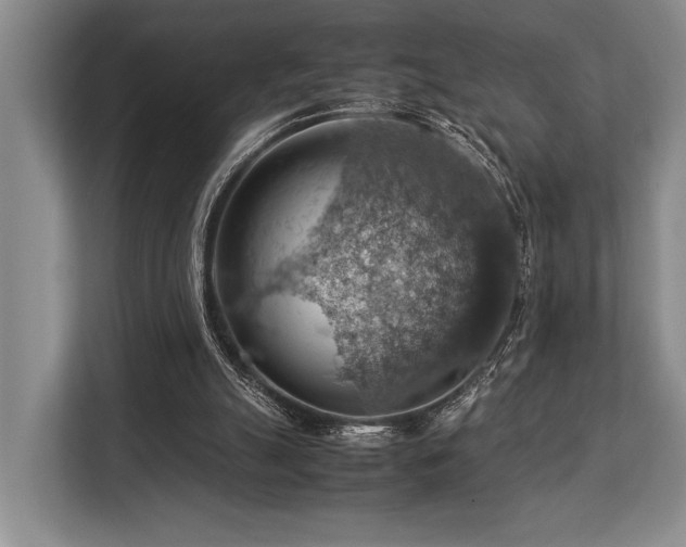 X0000113780055200909231324