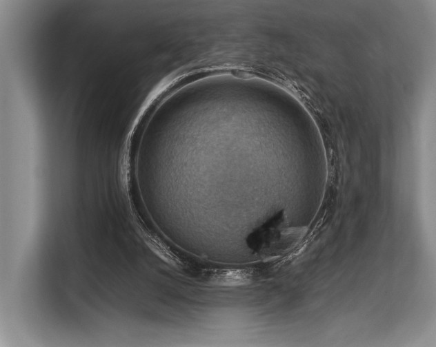 X0000113780056200909231324