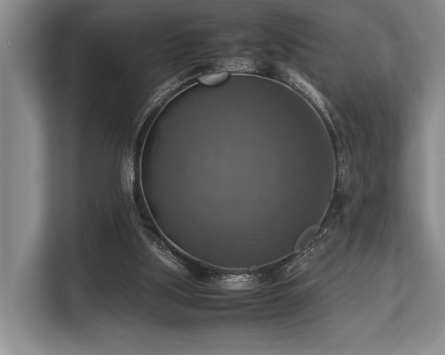 X0000113780059200909231324