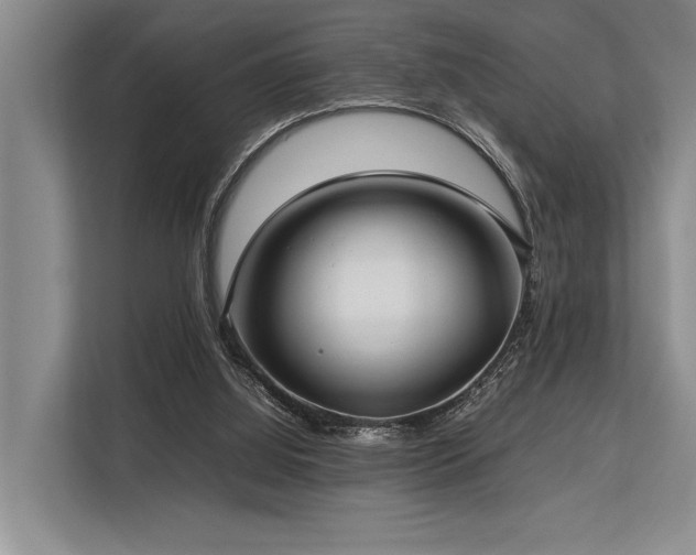 X0000113780060200909231324