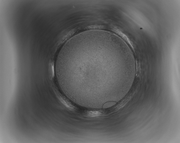 X0000113780061200909231324