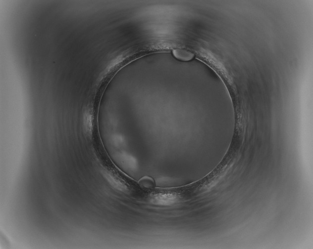 X0000113780063200909231324