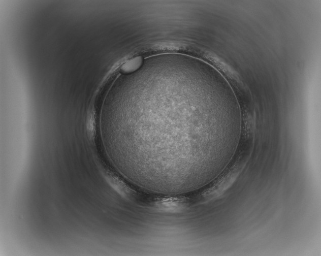 X0000113780064200909231324