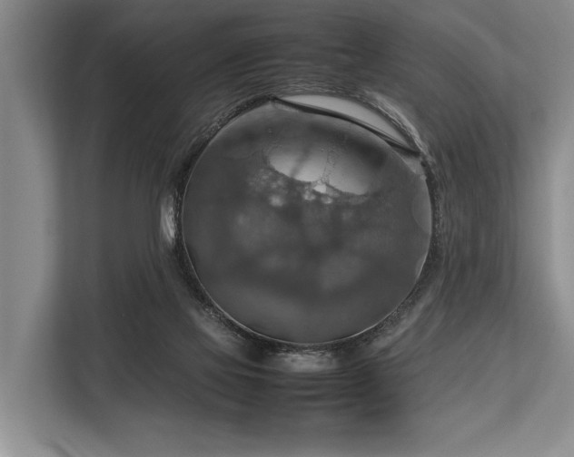 X0000113780069200909231324