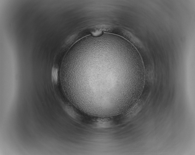 X0000113780070200909231324