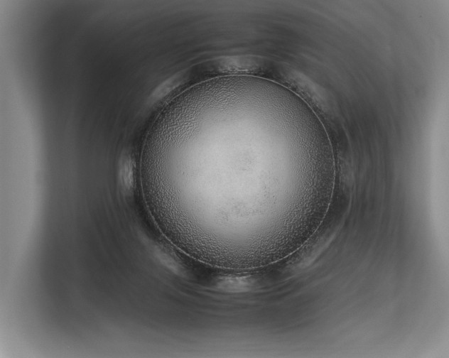 X0000113780071200909231324
