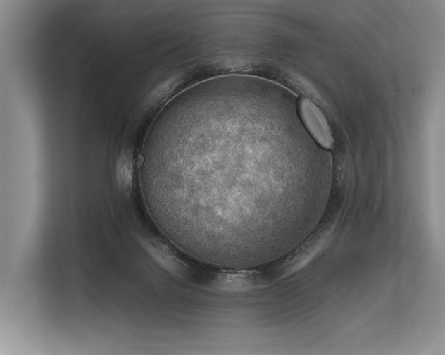 X0000113780072200909231324