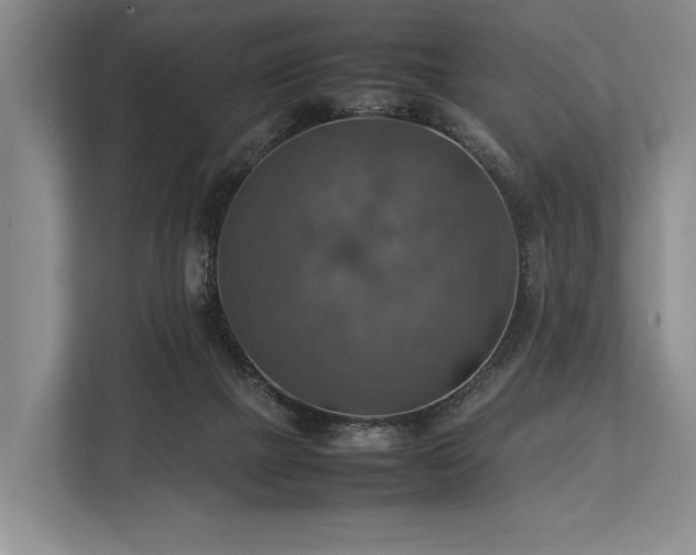 X0000113780073200909231324