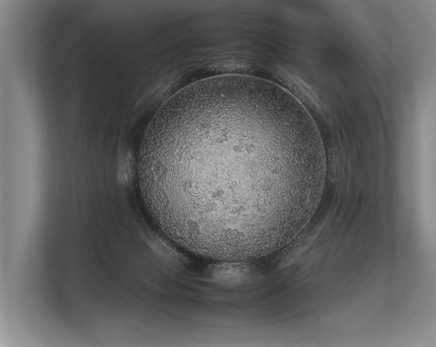 X0000113780077200909231324