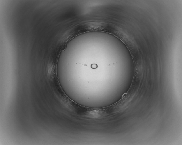 X0000113780079200909231324