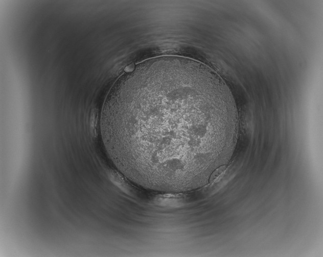 X0000113780082200909231324