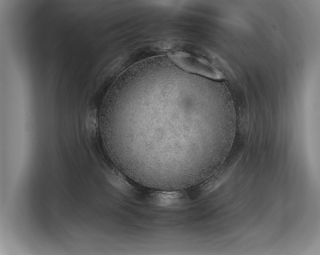 X0000113780085200909231324