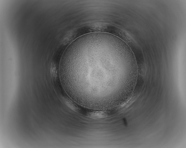 X0000113780086200909231324