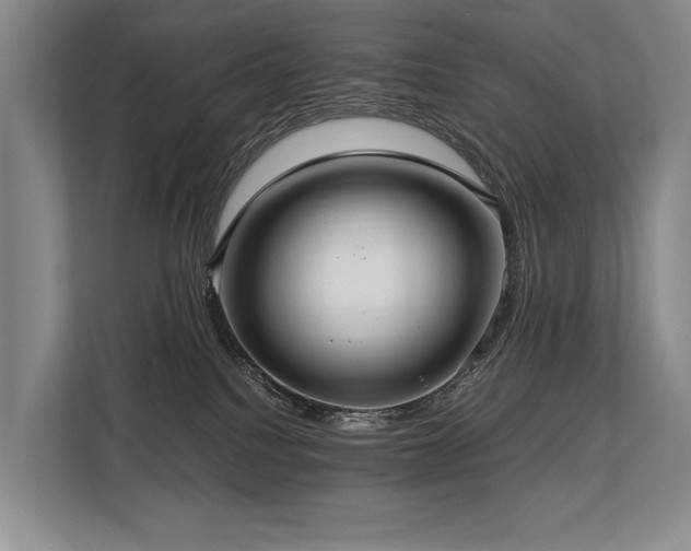 X0000113780088200909231324