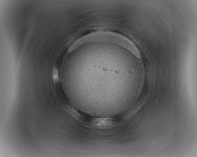 X0000113780089200909231324