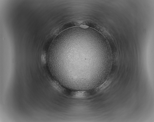 X0000113780090200909231324