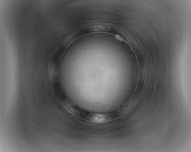 X0000113780091200909231324