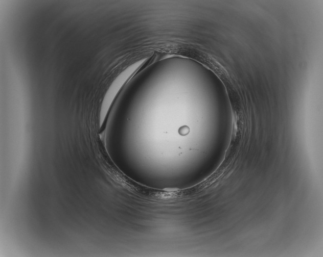X0000113780092200909231324
