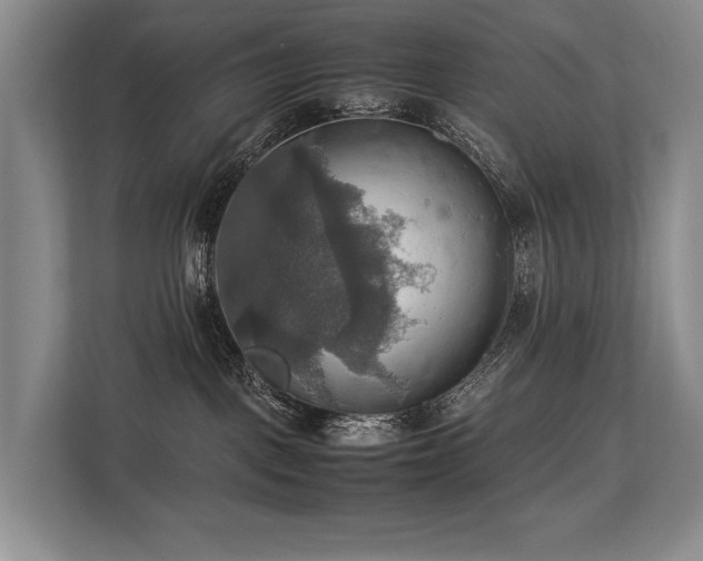X0000113780093200909231324