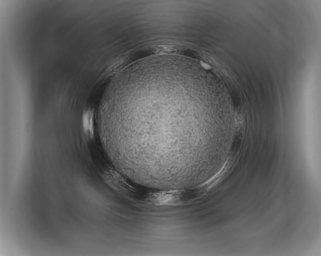 X0000113780094200909231324