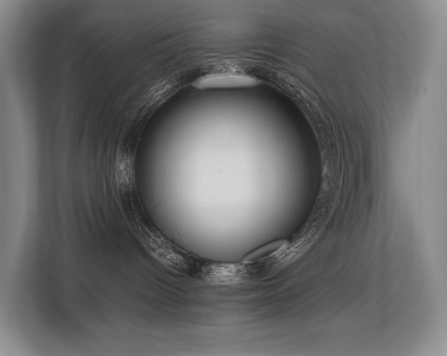X0000113780096200909231324