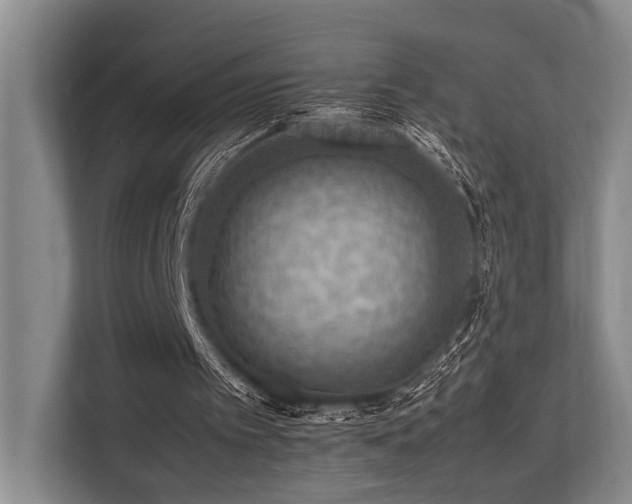 X0000113780097200909231324