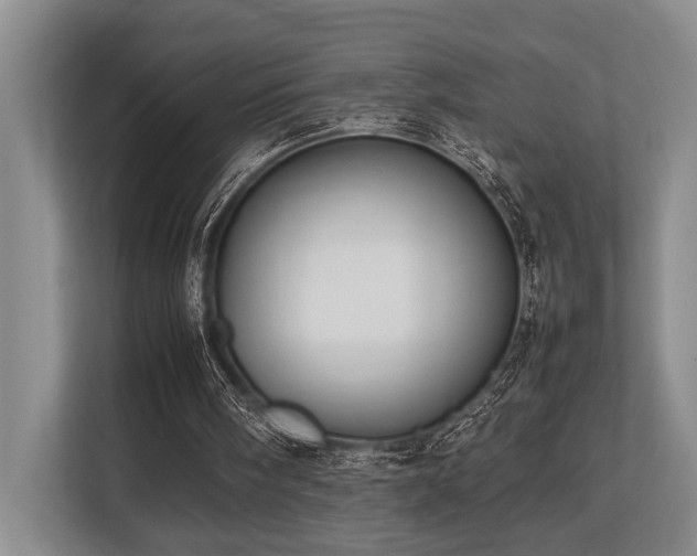 X0000113780098200909231324