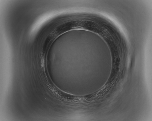 X0000113780099200909231324