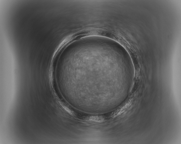 X0000113780101200909231324