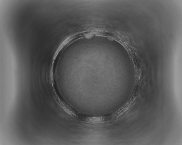 X0000113780102200909231323